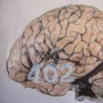 Le cerveau numéro 402